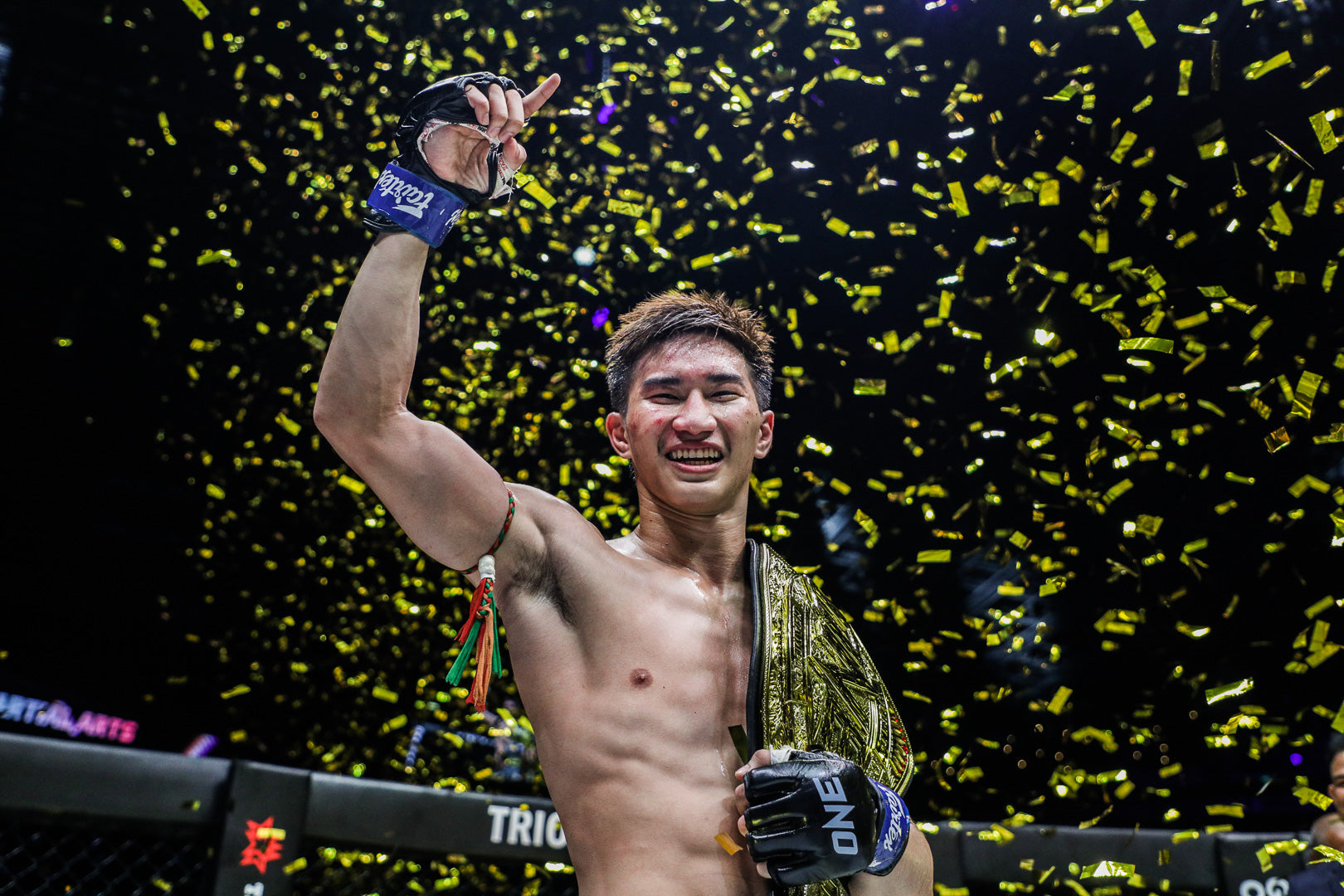 Tawanchai: The Maestro of Muay Thai