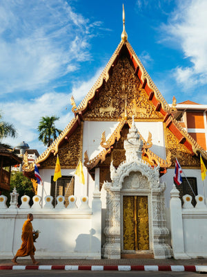 The History of Muay Thai: From Battlefield to Stadium