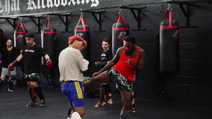 Best Muay Thai Gloves 2026: The Complete Buying Guide by Skill Level