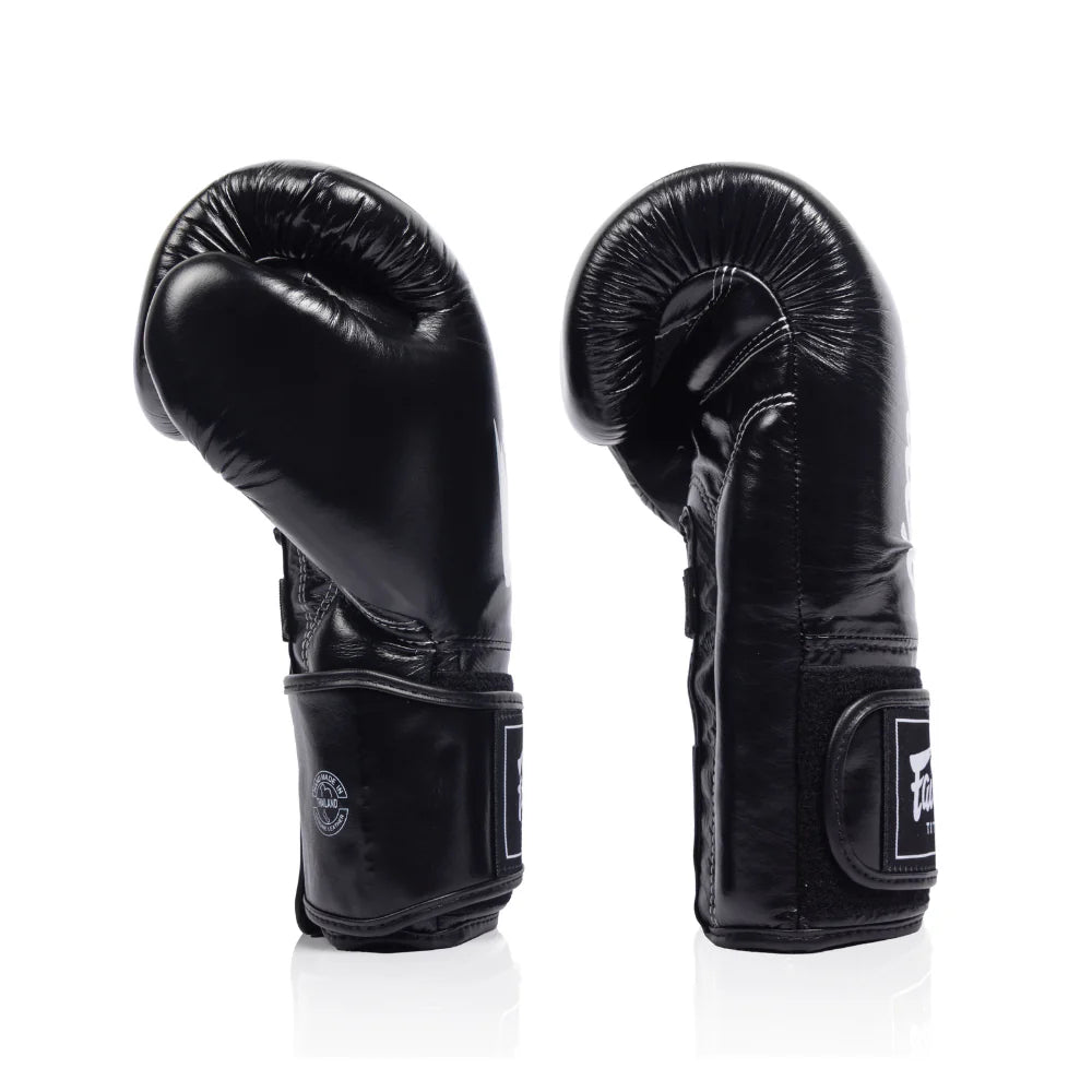 Fairtex Titan Boxing Gloves