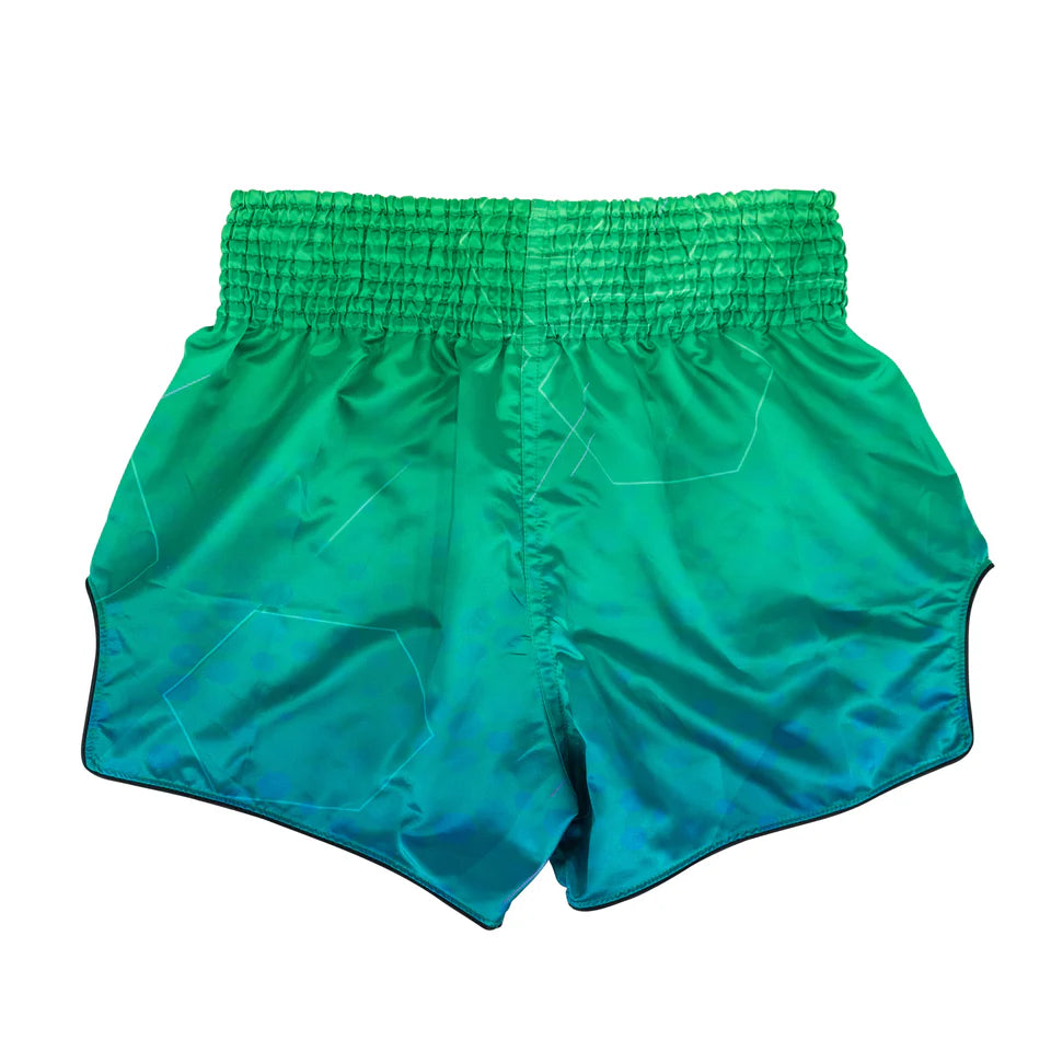 Fairtex Muay Thai Shorts - BS1953 Quantum