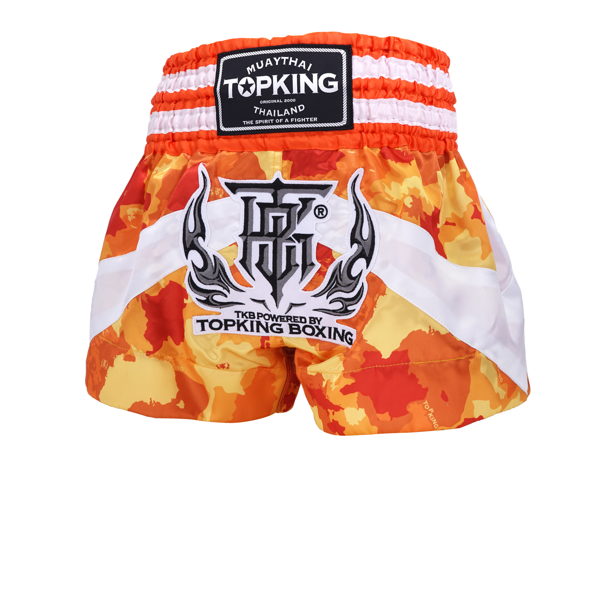 Top King Muay Thai Shorts - TKTBS-249