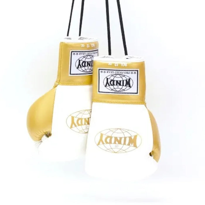 Windy [BGL] Lace Up Boxing Gloves