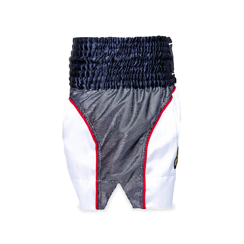 Top King Muay Thai shorts TKTBS-072