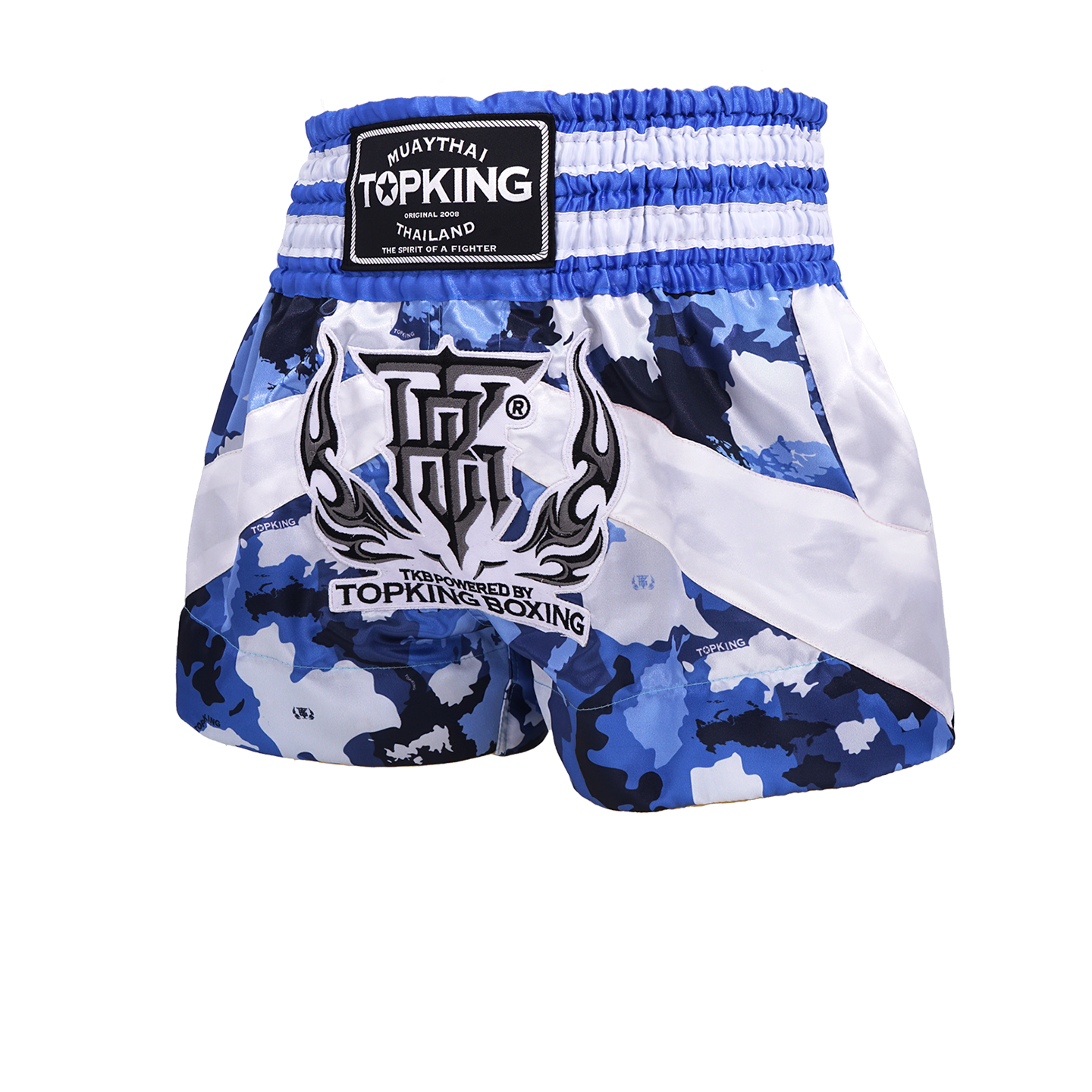 Top King Muay Thai Shorts - TKTBS-249